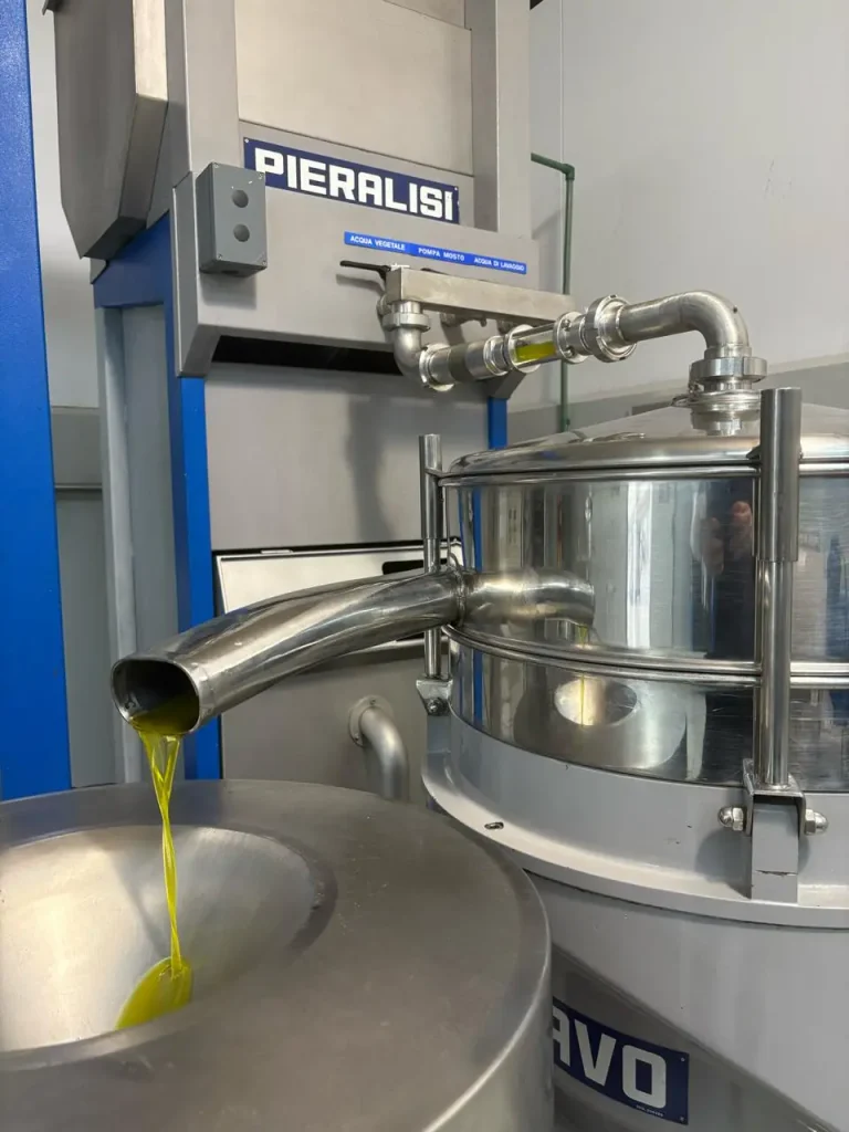 Aceite de oliva virgen extra saliendo del equipo de separación en La Repisada, Uruguay